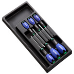Expert 6 SCREWDRIVERS MODULE E194941
