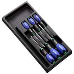 Expert 6 SCREWDRIVERS MODULE E194941