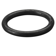 REMS O ring 060308