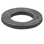 REMS disk 086005