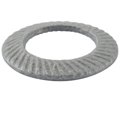 REMS Disk Schnorr 5 086048