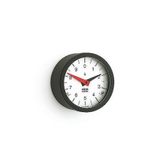 Ganter Positionsindikator, pendulsystem analog GN 000.8-42-4-R