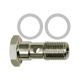 Riegler Hohlschraube, PTFE-Dichtring, einfach, G 1/4, Edelstahl 1.4404 110445 Miniaturbild