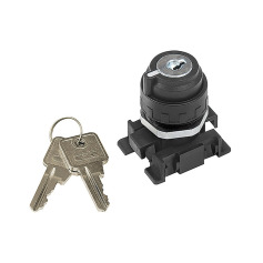 Riegler Lockable 2-position switch, key removal basic position 106455
