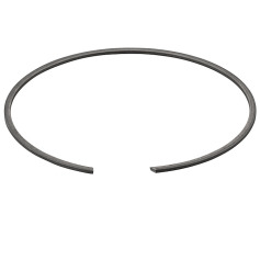REMS anillo de retención 059061