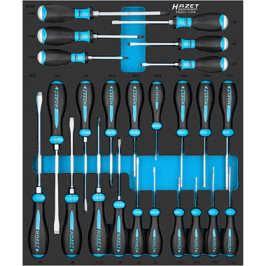 HAZET Module d’outils « Système d’insert de sécurité » 163D-7/24