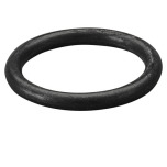 REMS O-ring 060308