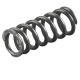 REMS Molla di compressione 753070 Miniatura