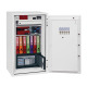 Phoenix Safe Phoenix Datacombi DS2504E Datenschutztresor Miniatura