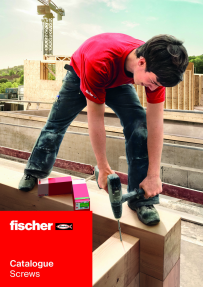 Fischer Big Pack DuoPower 6 (240) 536382