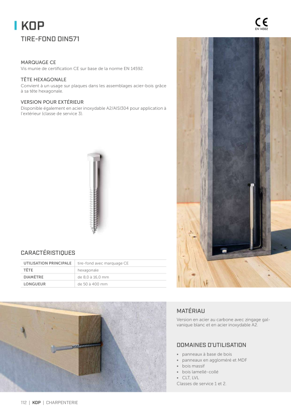 RothoBlaas Holz Technic *VIS DE CLÉ DIN571 12X300 KOP12300V