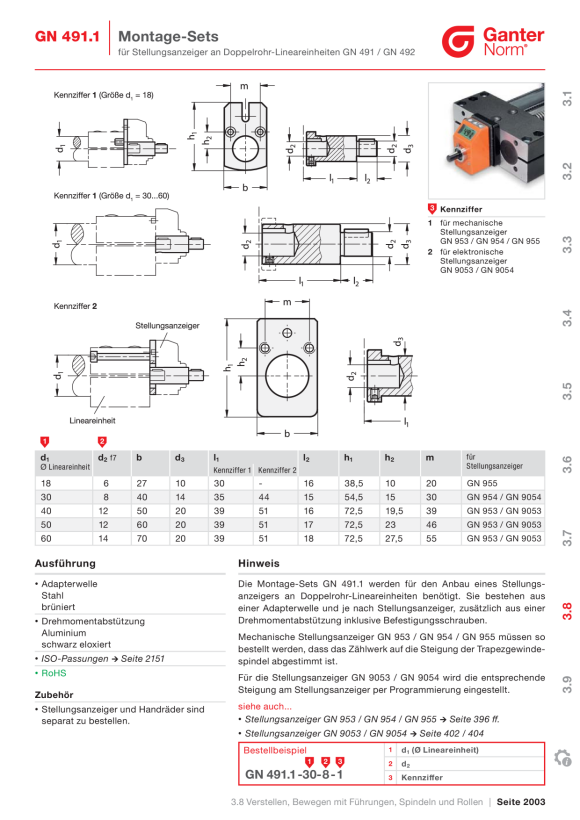Ganter Stellungsanzeiger 955-030-AR-R-GR