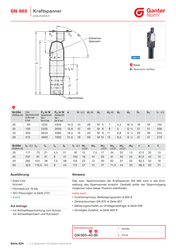 Ganter Zentralschrauben 21B-8S825-A-SZ