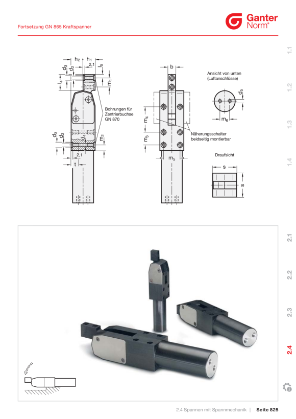 Ganter Zentralschrauben 21B-8S825-A-SZ