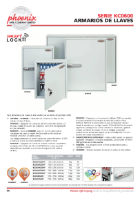 Phoenix Safe Phoenix Benzinkanister JC20GF mit Einfüllstutzen 20L