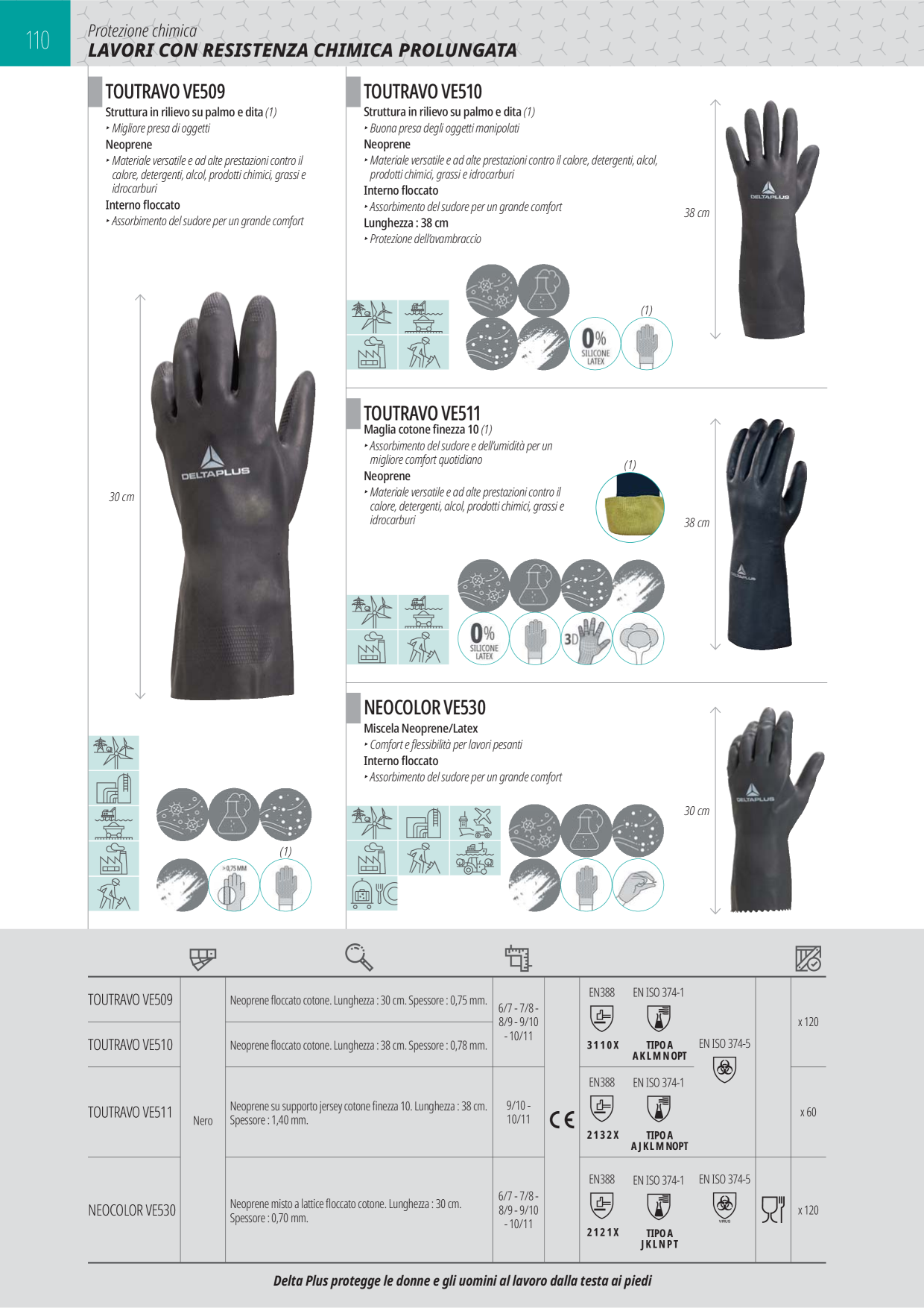 Anteprima del catalogo