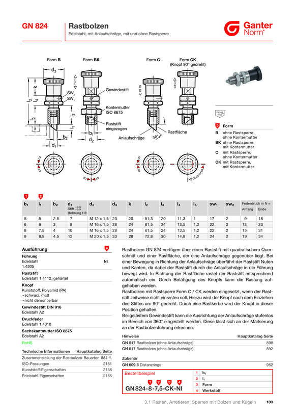Ganter Rastbolzen, Edelstahl 824-6-6-CK-NI