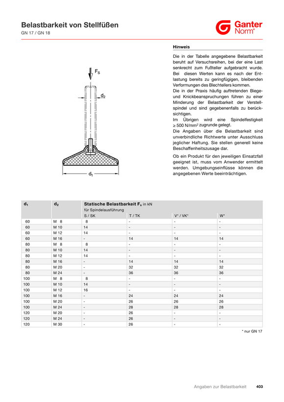 Ganter Hakenverriegelungen, Edelstahl 115.8-VK7-18-H1-N-2
