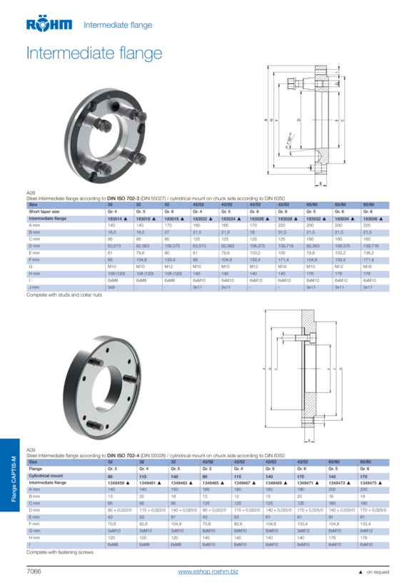 RÖHM Flange Captis-M 65-80 Iso702-, Ad200_H24.5_Fd81_Za160 1349473