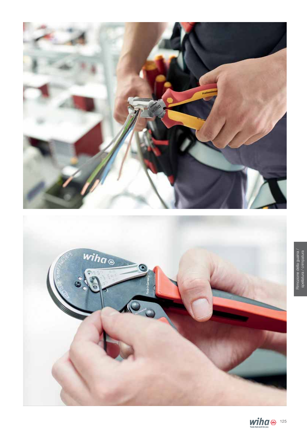 Anteprima del catalogo