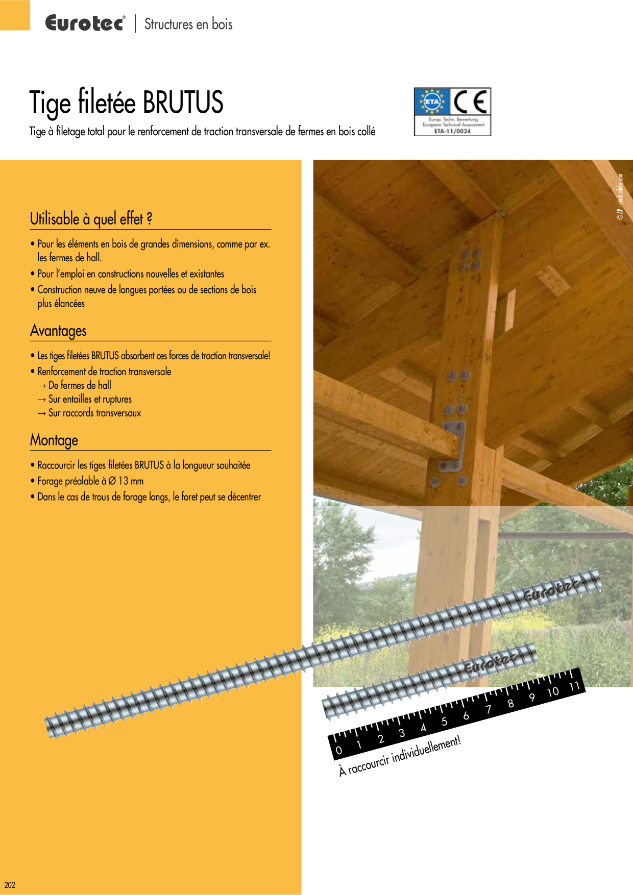 Image d’aperçu du catalogue