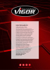 VIGOR Hauptkatalog NR.: 27 Seite 3