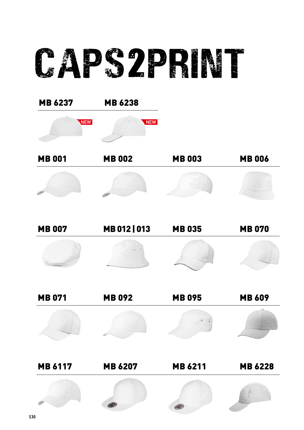 Catalog Overview Image