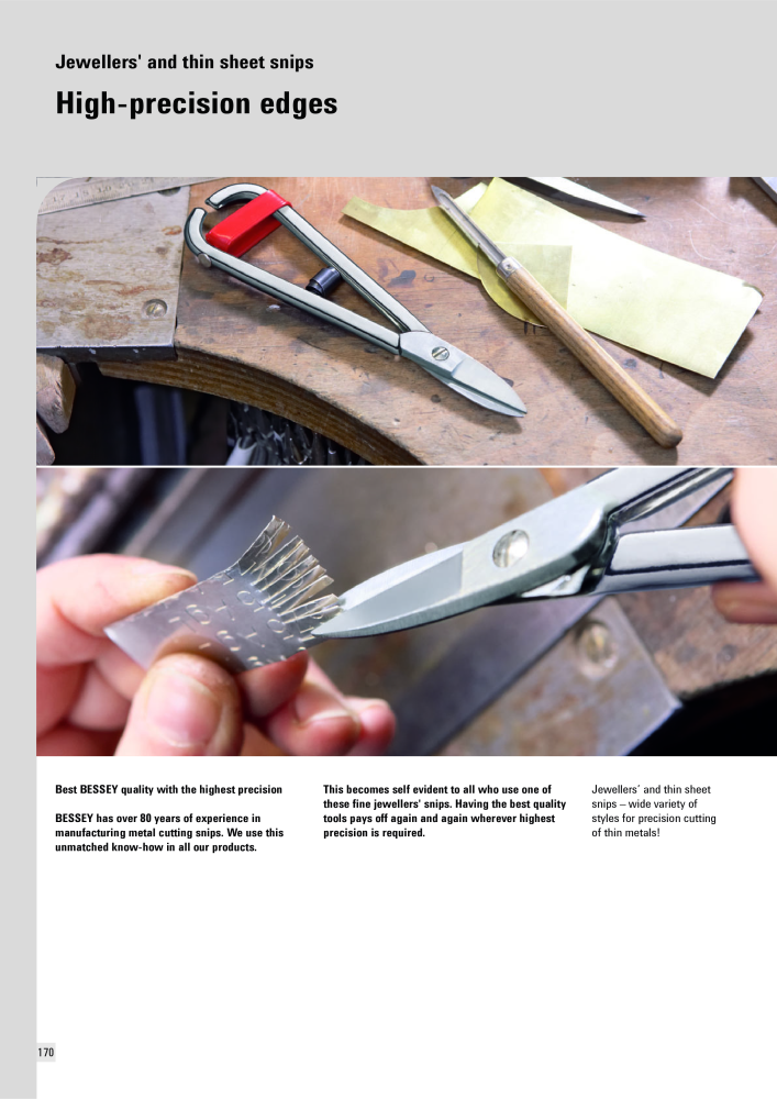 BESSEY Main Catalogue Clamping- and Cutting Technology NO.: 573 - Page 170
