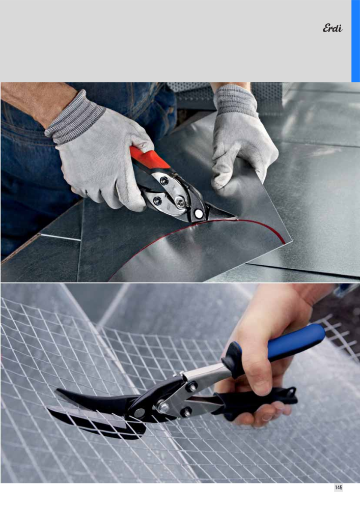 BESSEY Catálogo general Tecnología de Sujeción y de Corte Nº: 576 - Página 145