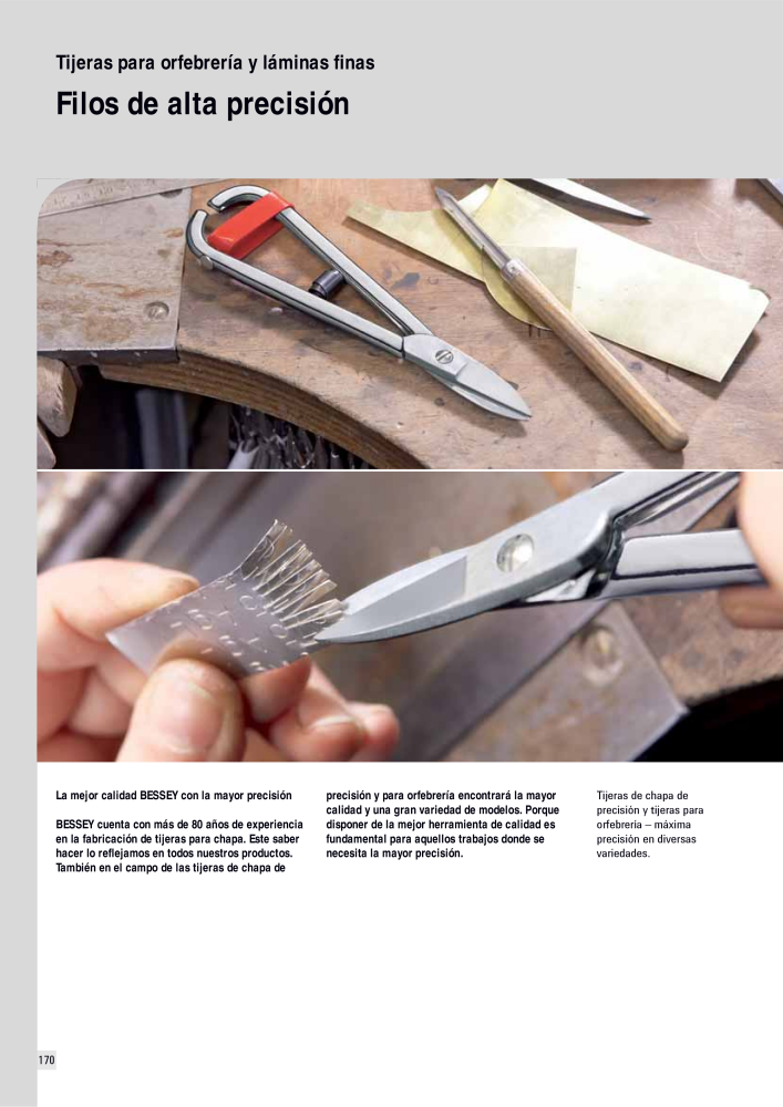 BESSEY Catálogo general Tecnología de Sujeción y de Corte Nº: 576 - Página 170