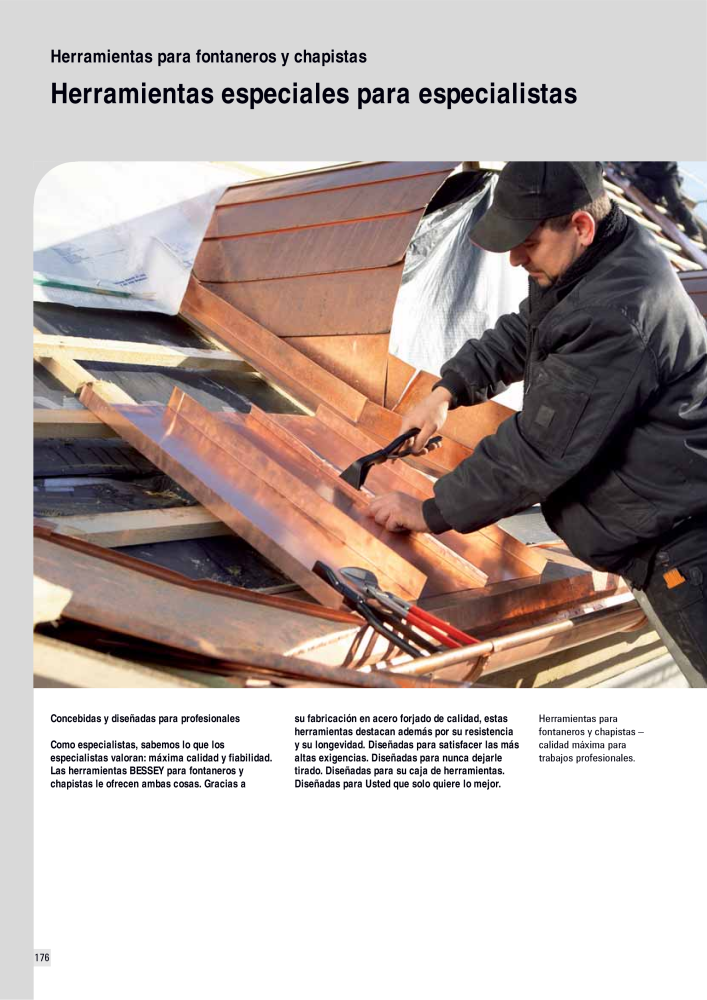 BESSEY Catálogo general Tecnología de Sujeción y de Corte Nº: 576 - Página 176