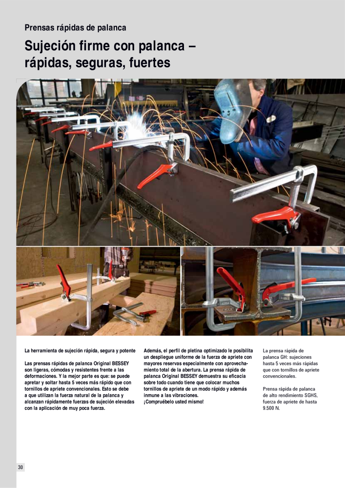 BESSEY Catálogo general Tecnología de Sujeción y de Corte Nº: 576 - Página 30