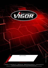 Vigor Gamme de base VW n°4 V6649