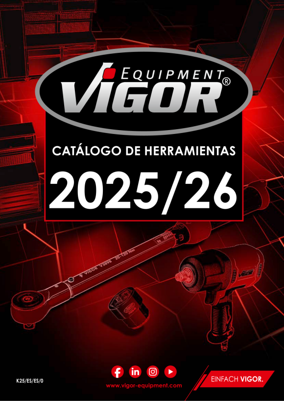 Vigor Einlagen Schraubendr. U. Zangen Ev V2025