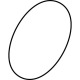 IS O-Ring 18,00x2,00 (2X) A962869NU Miniaturka