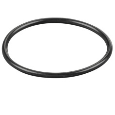 REMS O-ring 060109