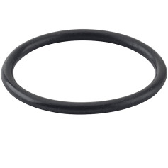 REMS O-ring 060282