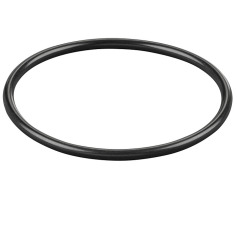 REMS O-ring 060320