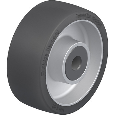 Blickle ALSI 100/12G 752995