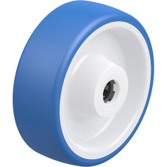 Blickle POTHS 100/12R 933113
